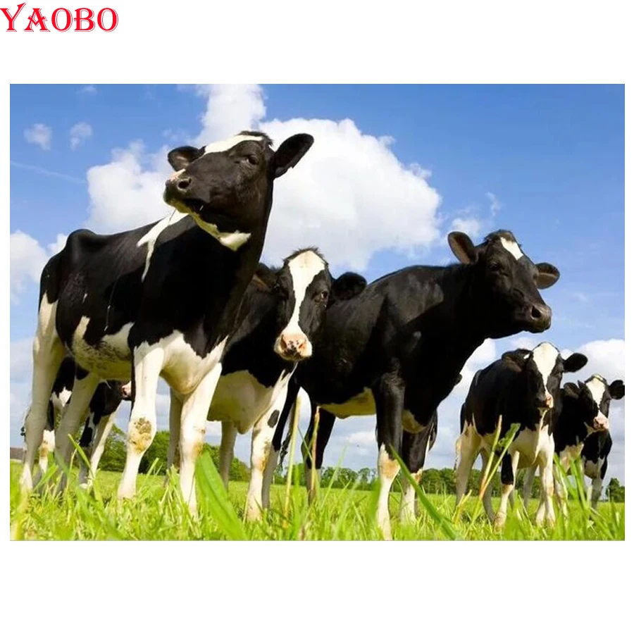 5D Diy Diamond Painting Animal cow Cross Stitch Diamond Embroidery Full Square Round Diamond Mosaic picture of Rhinestones
5D Diy Diamond Painting Animal cow Cross Stitch Diamond Embroidery Full Square Round Diamond Mosaic picture of Rhinestones