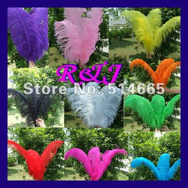 EMS free shipping Cheap ostrich feather 200pcs 26-28 inches 65-70cm assorted 8 colors Ostrich plume ostrich plumage
EMS free shipping Cheap ostrich feather 200pcs 26-28 inches 65-70cm assorted 8 colors Ostrich plume ostrich plumage