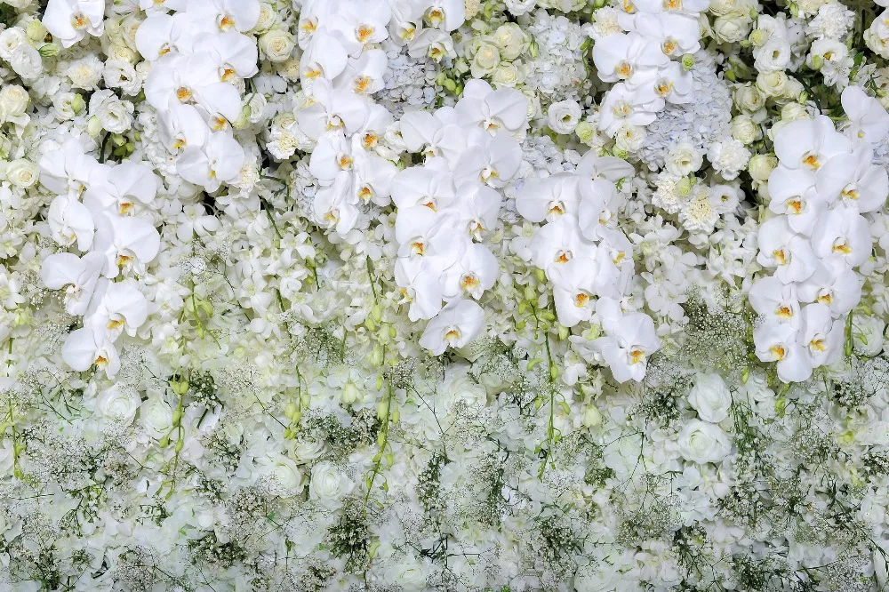 Romantic Wedding Floral Photography Backdrop Printed White Butterfly Orchid Flowers Roses Wall Photo Booth Background for Studio
Romantic Wedding Floral Photography Backdrop Printed White Butterfly Orchid Flowers Roses Wall Photo Booth Background for Studio