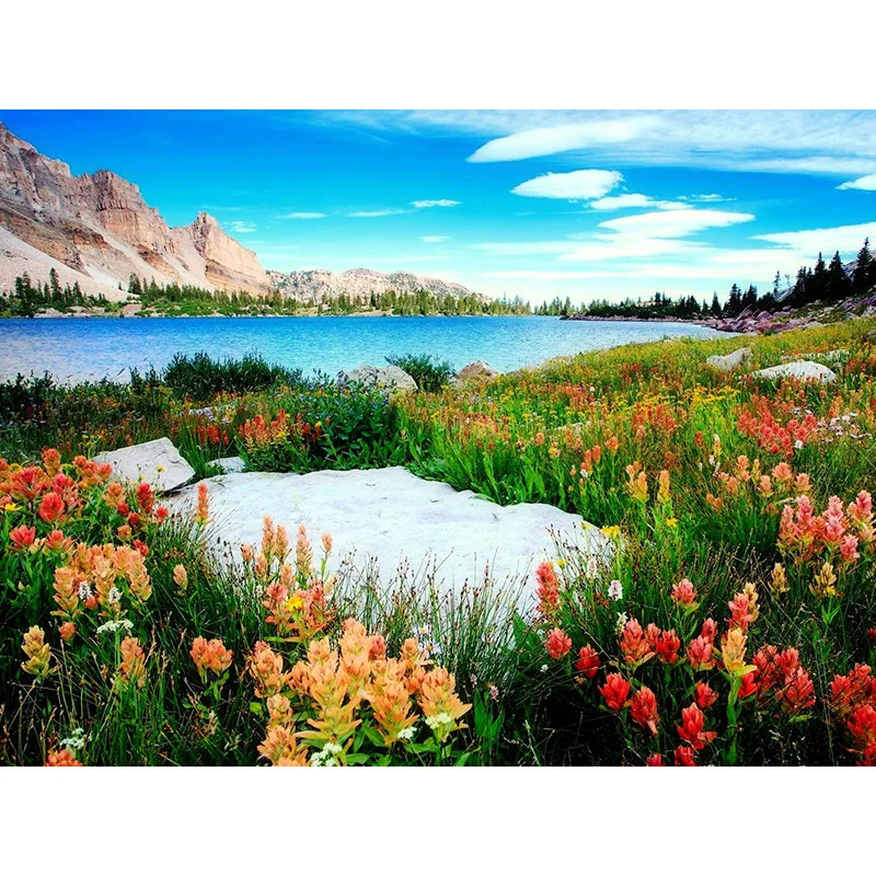 Full square/Round drill Diamond embroidery Green Landscape 5D DIY diamond Painting Cross Stitch Rhinestone Mosaic E26
Full square/Round drill Diamond embroidery Green Landscape 5D DIY diamond Painting Cross Stitch Rhinestone Mosaic E26