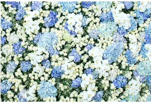 7x5ft Light Blue White Floral Flowers Wall Outdoor Washable Wrinkle Free Photo Studio Background Backdrop Polyester Fabric
7x5ft Light Blue White Floral Flowers Wall Outdoor Washable Wrinkle Free Photo Studio Background Backdrop Polyester Fabric
