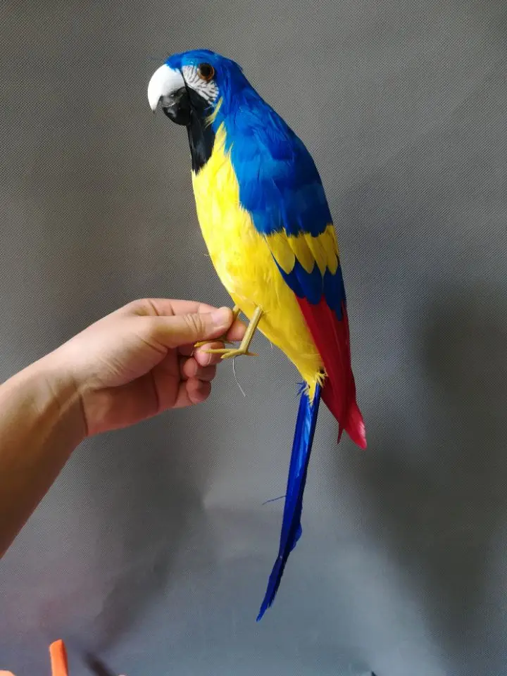 plastic foam& feathers artificial bird yellow-blue feathers parrot model large 42cm toy,garden decoration gift w0799
plastic foam& feathers artificial bird yellow-blue feathers parrot model large 42cm toy,garden decoration gift w0799