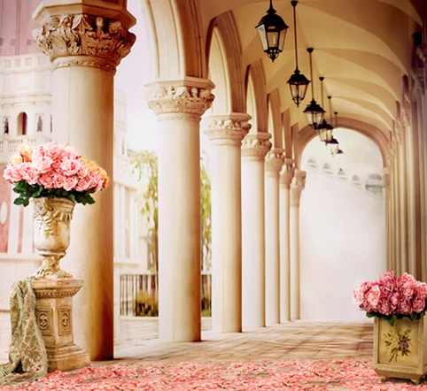 10x10FT Pink Flowers Petals Greek Column Pillars Passage Hallway Custom Photo Backdrops Studio Background Vinyl 300cm x 300cm
10x10FT Pink Flowers Petals Greek Column Pillars Passage Hallway Custom Photo Backdrops Studio Background Vinyl 300cm x 300cm