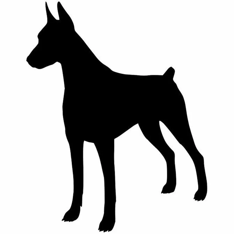 11.9*15.2CM Doberman Pinscher Dog Window Decoration Vinyl Decal Stickers 11.9x15.2cm
11.9*15.2CM Doberman Pinscher Dog Window Decoration Vinyl Decal Stickers 11.9x15.2cm