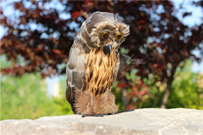 25CMfoam&feathers simulation owl bird model handicraft home garden decoration gift a334
25CMfoam&feathers simulation owl bird model handicraft home garden decoration gift a334