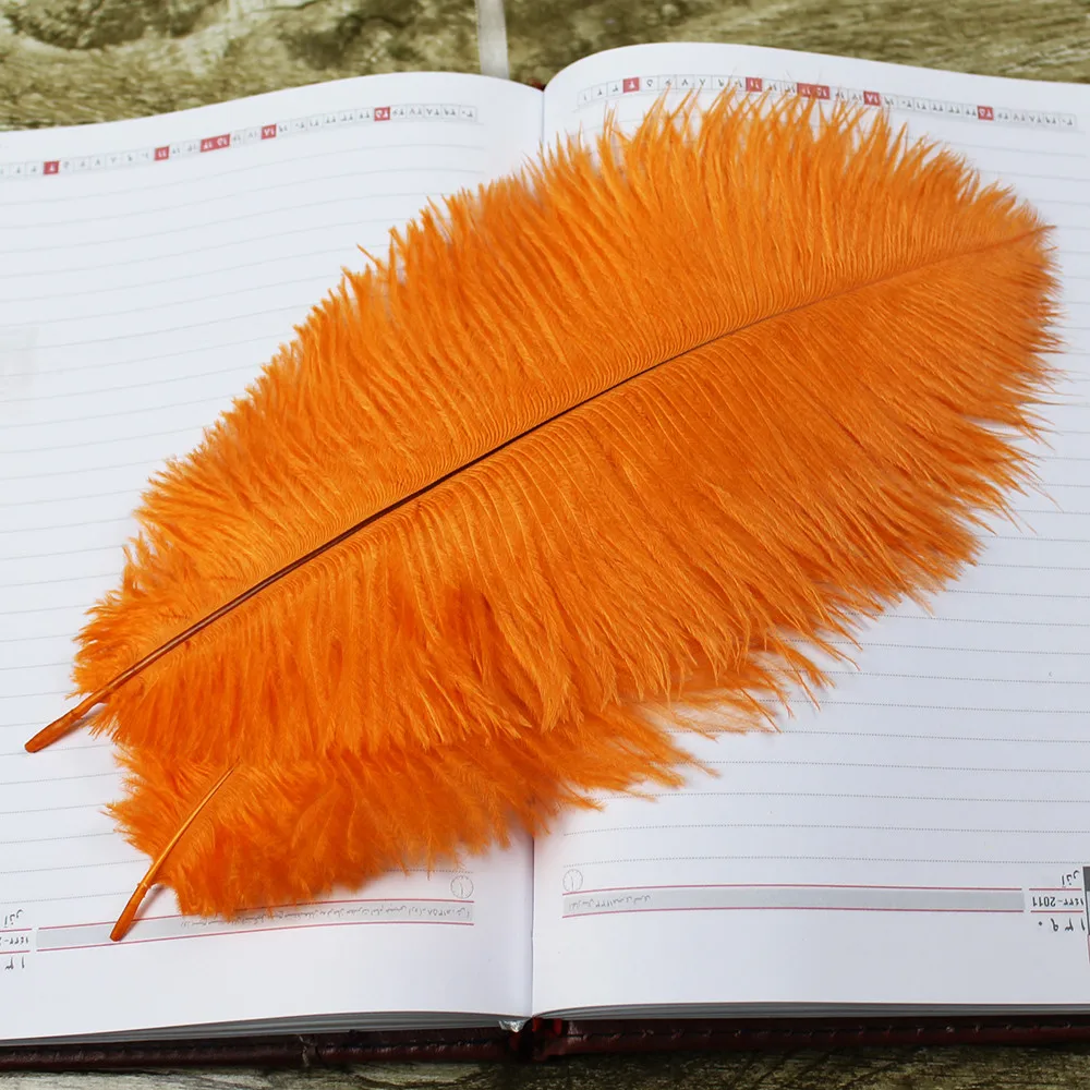 500PCS natural orange ostrich feather 25-30 cm / 10 -12 inches plume Wedding decoration feathers
500PCS natural orange ostrich feather 25-30 cm / 10 -12 inches plume Wedding decoration feathers