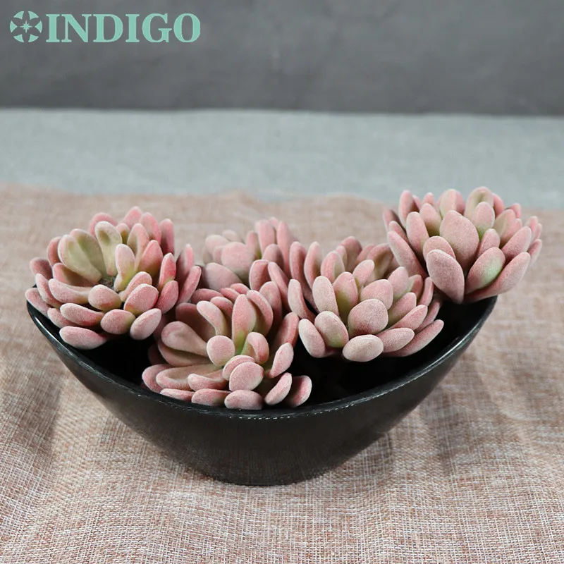 5 Pcs Plush Lotus Echeveria Elegance Artificial Succulent Plant Plastic Flower Decoration Green Background - INDIGO
5 Pcs Plush Lotus Echeveria Elegance Artificial Succulent Plant Plastic Flower Decoration Green Background - INDIGO