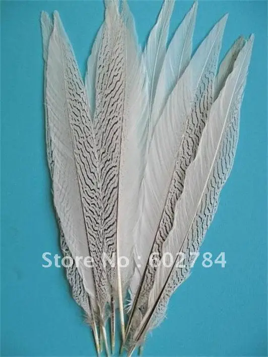 EMS Free shipping 50PCS 18-20 inches 45-50cm Silver pheasant feather silver feather
EMS Free shipping 50PCS 18-20 inches 45-50cm Silver pheasant feather silver feather