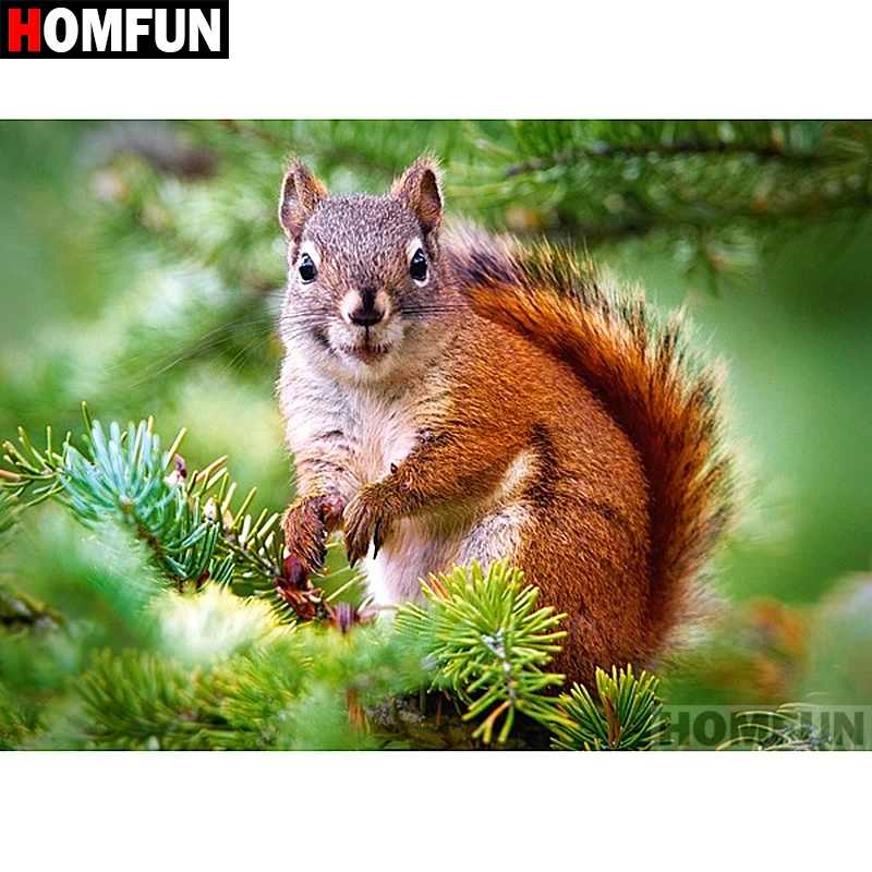 HOMFUN Full Square/Round Drill 5D DIY Diamond Painting "Animal squirrel" Embroidery Cross Stitch 5D Home Decor Gift A07081
HOMFUN Full Square/Round Drill 5D DIY Diamond Painting "Animal squirrel" Embroidery Cross Stitch 5D Home Decor Gift A07081