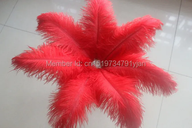HOT! 100 pcs 12-14"/ 30-35cm Choose Colors Beautiful Ostrich Plume DIY Carft Wedding Party Centerpieces Natural Ostrich Feather
HOT! 100 pcs 12-14"/ 30-35cm Choose Colors Beautiful Ostrich Plume DIY Carft Wedding Party Centerpieces Natural Ostrich Feather