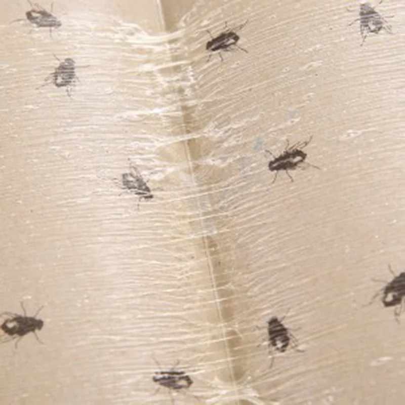 20 шт. ловушка для ловушек клея клейкая доска мушек муравьев насекомых | Дом и сад