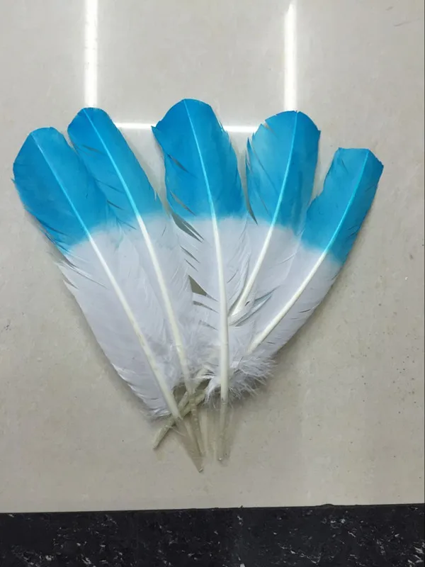 50Pieces/lot!-Light Blue Dipped Top Turkey Round Wing Quill Feathers,10-12inches 25-30cm long,freeshipping
50Pieces/lot!-Light Blue Dipped Top Turkey Round Wing Quill Feathers,10-12inches 25-30cm long,freeshipping