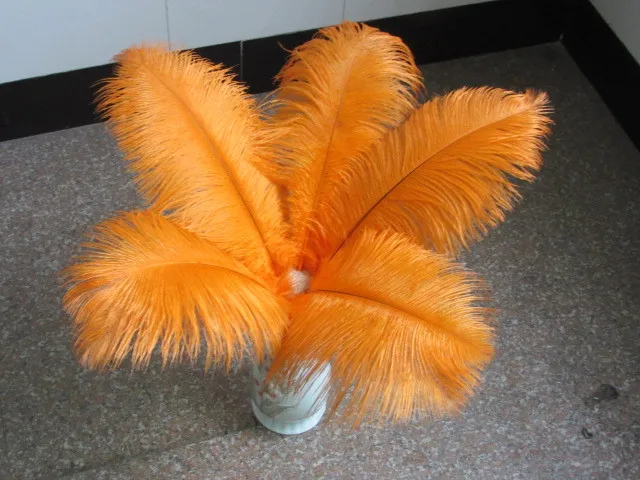 wholesale 100pcs / lot high quality blue ostrich feathers 10-12 inches / 25 to 30 centimeters celebration stage decoration
wholesale 100pcs / lot high quality blue ostrich feathers 10-12 inches / 25 to 30 centimeters celebration stage decoration