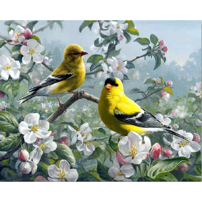 YIKEE diamond painting Oriole,5d diamond puzzle,5d diamond painting full drill K248
YIKEE diamond painting Oriole,5d diamond puzzle,5d diamond painting full drill K248