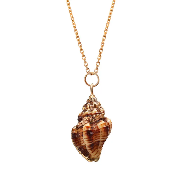 Conch Pendant Necklace For Women Gold Chain Torque Sea Snail Choker Friendship Girls Fashion Jewelry Accessories
Conch Pendant Necklace For Women Gold Chain Torque Sea Snail Choker Friendship Girls Fashion Jewelry Accessories