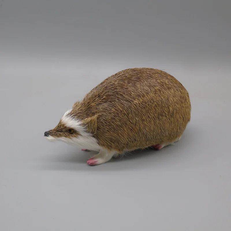 simulation animal hedgehog model 20x12cm ,polyethylene&furs handicraft Figurines & Miniatures decoration toy gift
simulation animal hedgehog model 20x12cm ,polyethylene&furs handicraft Figurines & Miniatures decoration toy gift