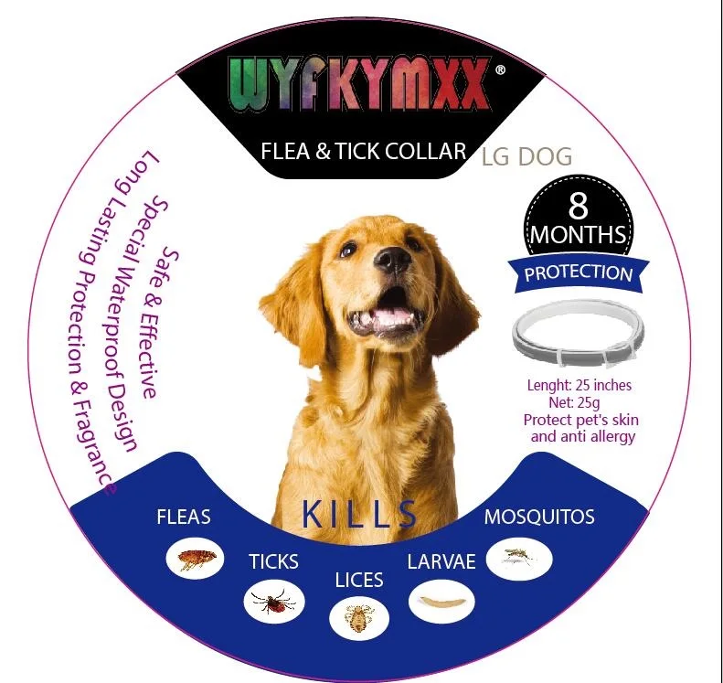 Dog Fea Collar Any Size Available 25inches 8 Month Protaction Gray Flea Collar for Dogs
Dog Fea Collar Any Size Available 25inches 8 Month Protaction Gray Flea Collar for Dogs