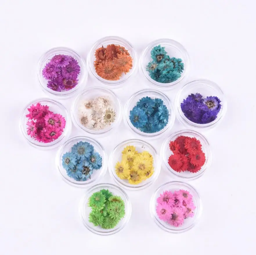 100pcs Pressed Dried Anaphalis sinica Hance Flower With Box For Epoxy Resin Jewelry Making Nail Art Craft DIY Accessories
100pcs Pressed Dried Anaphalis sinica Hance Flower With Box For Epoxy Resin Jewelry Making Nail Art Craft DIY Accessories