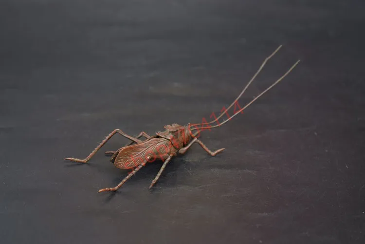 Solid pure copper, locust ornaments, tea ceremony decorations, handicraft collections
Solid pure copper, locust ornaments, tea ceremony decorations, handicraft collections