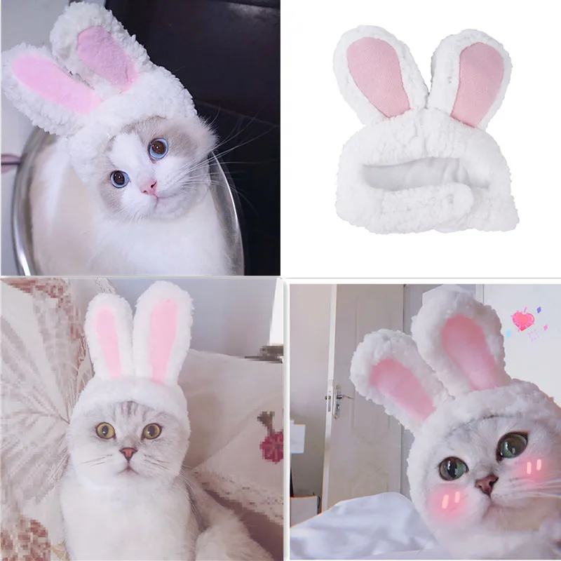 Смешная собачка костюм капитана кота теплая шапка кролика новогодние вечерние
