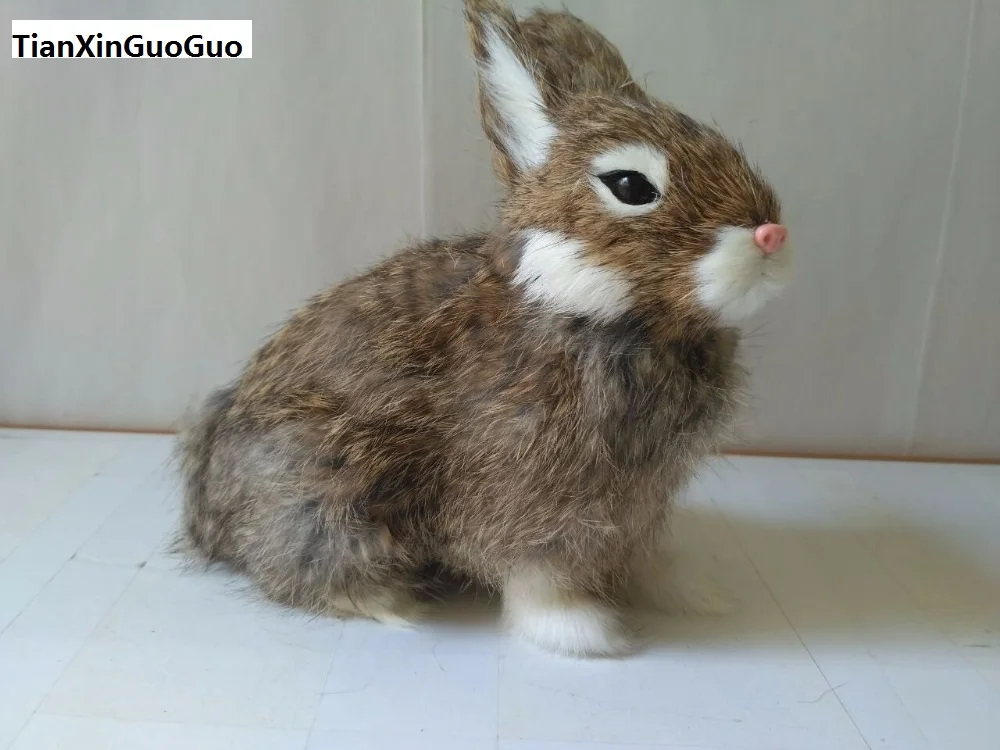 simulation brown rabbit hard model 18x17cm polyethylene&furs squatting rabbit ,home decoration gift s1700
simulation brown rabbit hard model 18x17cm polyethylene&furs squatting rabbit ,home decoration gift s1700