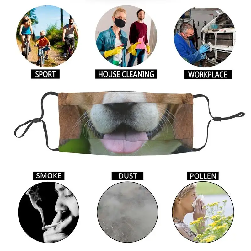 Beagle Meme Breathable Unisex Adult Mouth Face Mask Dog Anti Haze Dust Protection Cover Respirator Mouth-Muffle
Beagle Meme Breathable Unisex Adult Mouth Face Mask Dog Anti Haze Dust Protection Cover Respirator Mouth-Muffle