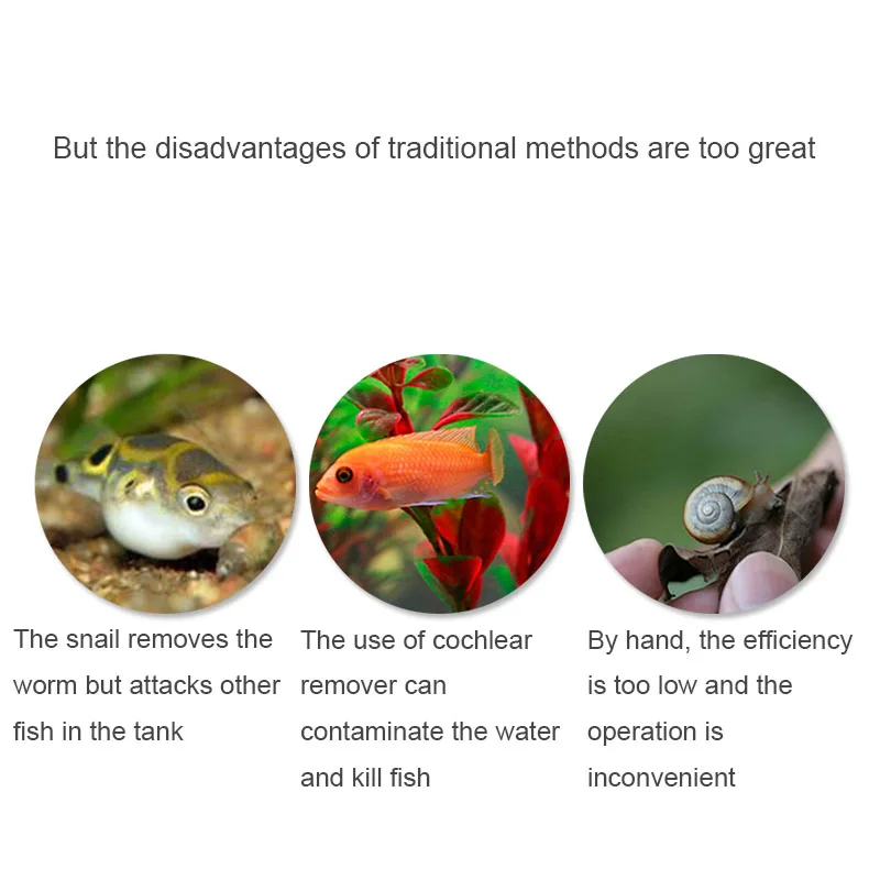 Fish tank Clear Plant Snail Trap Catcher Plastic Planaria Pest Catch Box Pest Catch Tool Planarian Pest Environment Clean Tool
Fish tank Clear Plant Snail Trap Catcher Plastic Planaria Pest Catch Box Pest Catch Tool Planarian Pest Environment Clean Tool