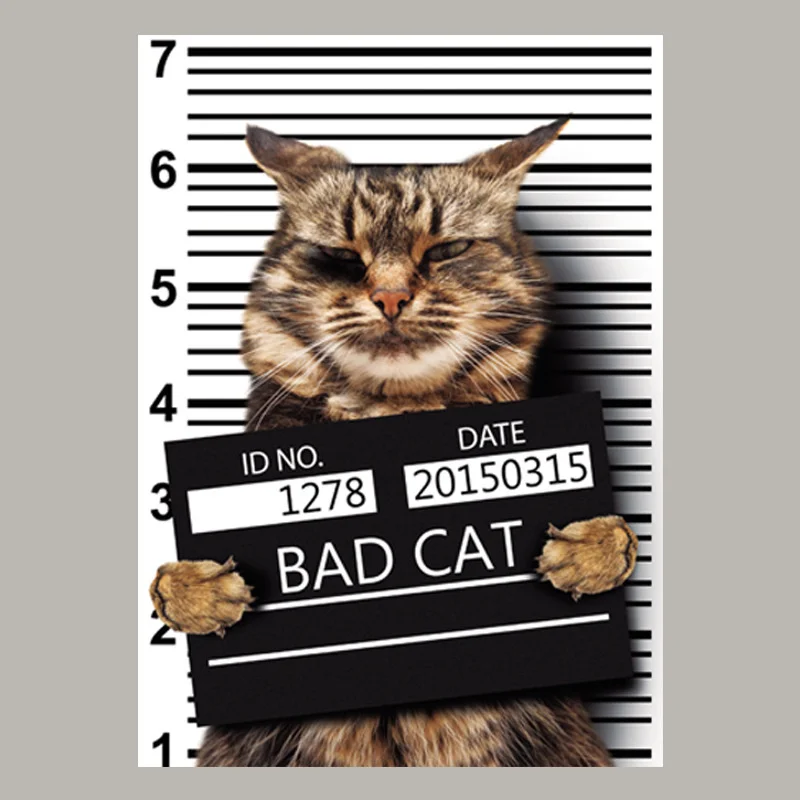 1PC Clothing Patches BAD CAT Pattern Iron On Patches Thermal Transfer Printing DIY Stickers for Clothes Fashion Style Decoration
1PC Clothing Patches BAD CAT Pattern Iron On Patches Thermal Transfer Printing DIY Stickers for Clothes Fashion Style Decoration
