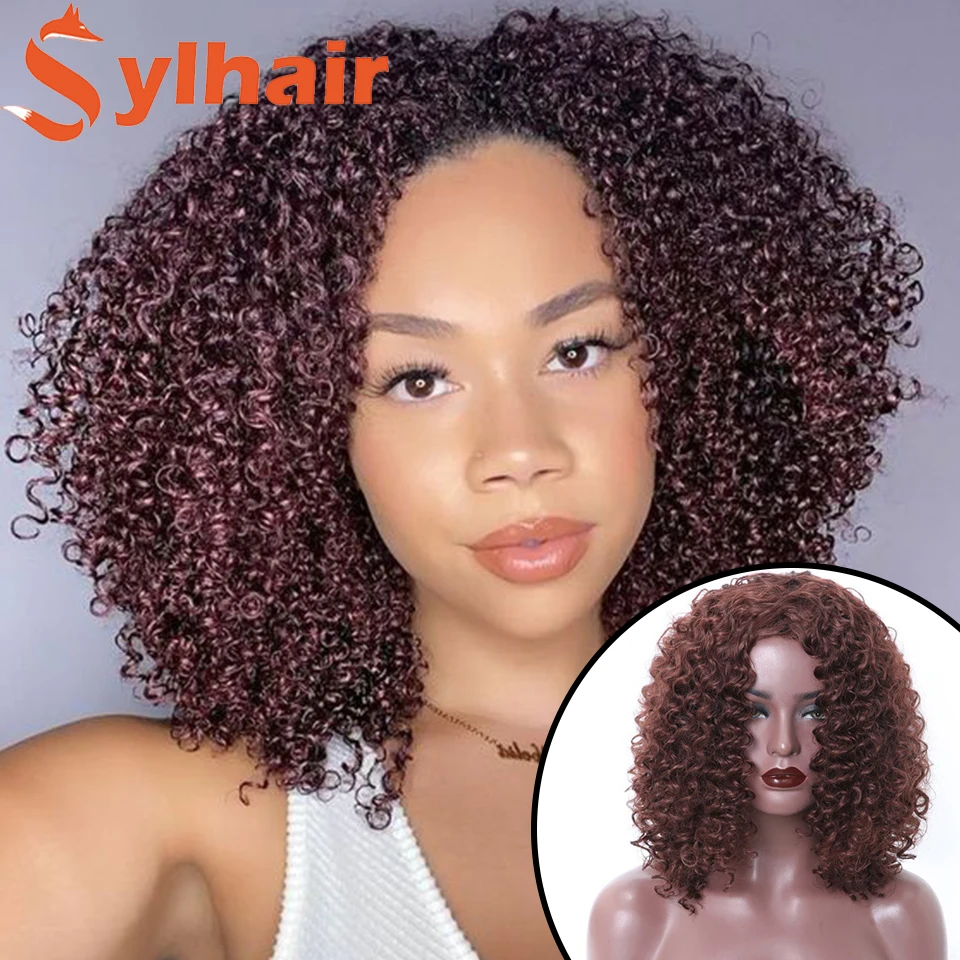 Short Hair Afro Kinky Curly Wigs With Bangs For Black Women Synthetic African Ombre Glueless Cosplay Wigs High Temperature Sylha
Short Hair Afro Kinky Curly Wigs With Bangs For Black Women Synthetic African Ombre Glueless Cosplay Wigs High Temperature Sylha