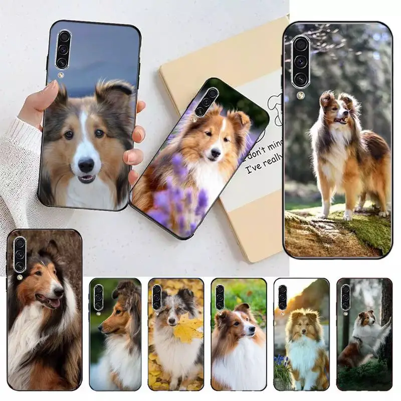 Sheltie dog cute animal Phone Case For Samsung galaxy A S note 10 12 20 32 40 50 51 52 70 71 72 21 fe s ultra plus
Sheltie dog cute animal Phone Case For Samsung galaxy A S note 10 12 20 32 40 50 51 52 70 71 72 21 fe s ultra plus
