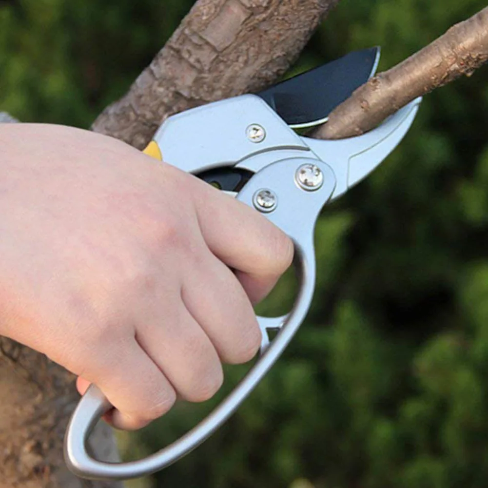 2021 New Garden Pruning Shear High Carbon Steel Scissors Gardening Plant Scissor Branch Pruner Trimmer Tools
2021 New Garden Pruning Shear High Carbon Steel Scissors Gardening Plant Scissor Branch Pruner Trimmer Tools