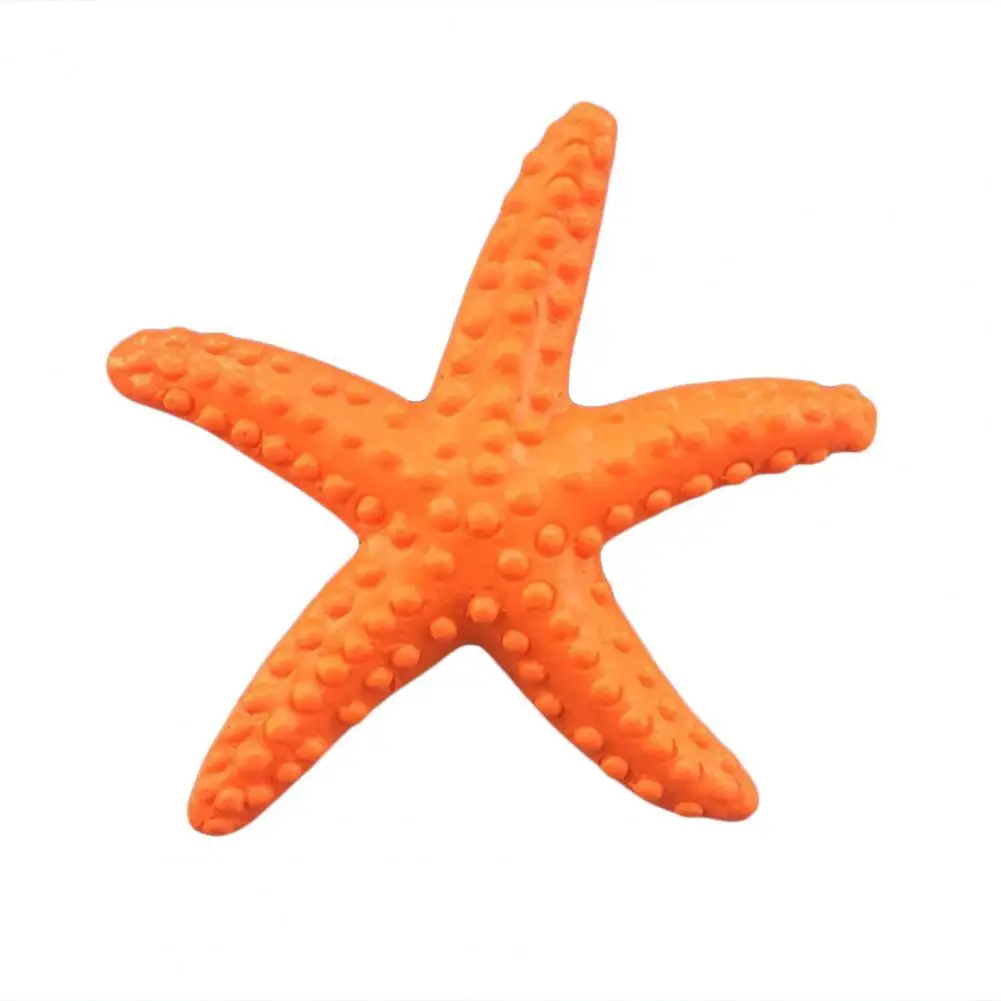 Simulation Starfish Realistic Plastic Cute Artificial Sea Star for Wall Home Decor Aquarium Fish Jar Decoration
Simulation Starfish Realistic Plastic Cute Artificial Sea Star for Wall Home Decor Aquarium Fish Jar Decoration