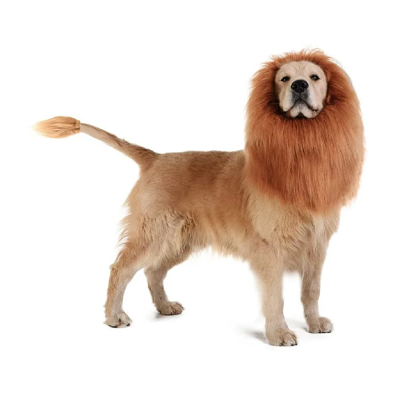 Dog Lion Mane Realistic Funny Lion Mane for Dogs Complementary Lion Mane for Dog Costumes Lion Wig for Medium Large Sized
Dog Lion Mane Realistic Funny Lion Mane for Dogs Complementary Lion Mane for Dog Costumes Lion Wig for Medium Large Sized