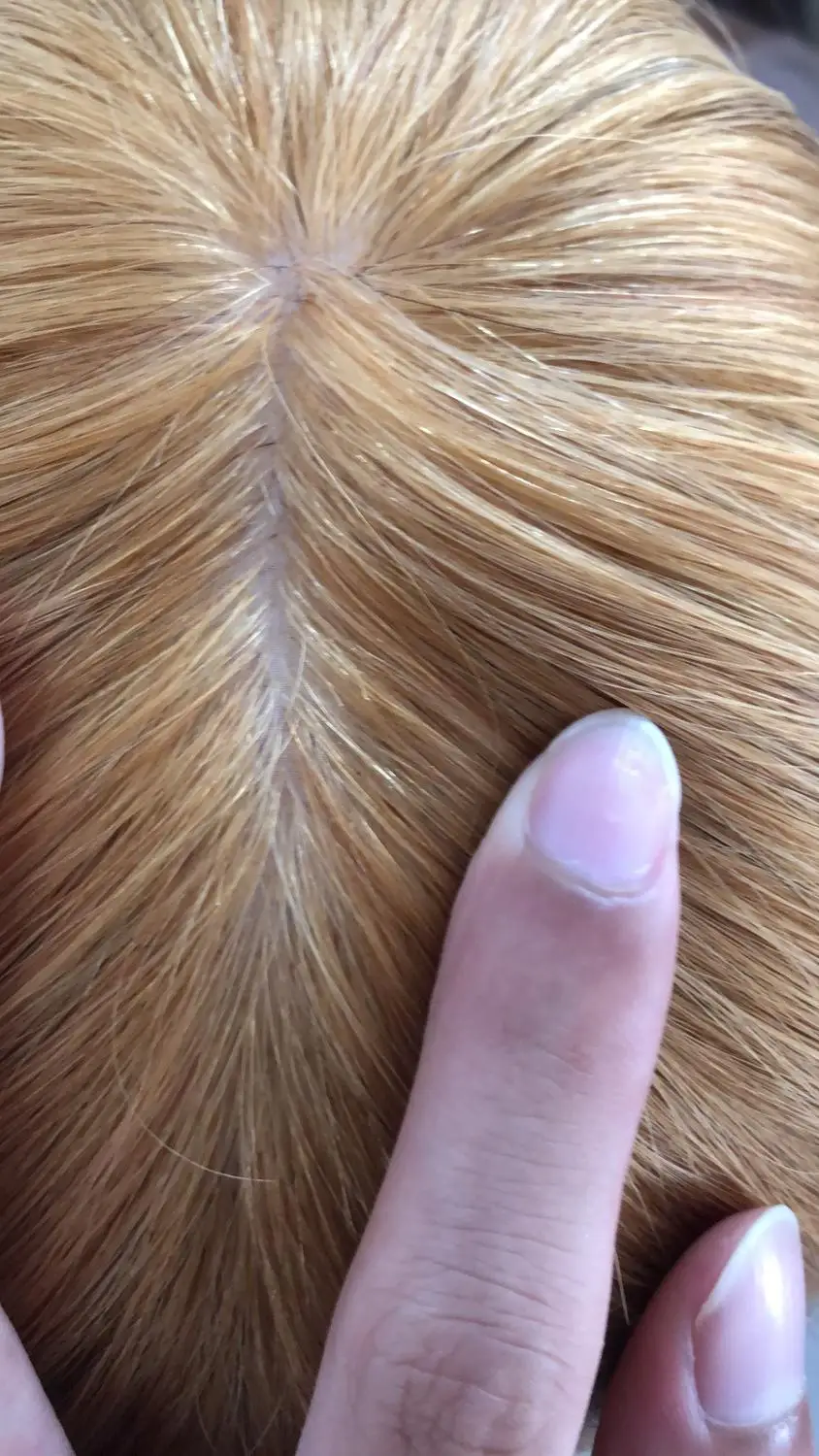 Golden Blonde Jewish Sheitels European Remy Hair Silk Top Kosher Wig Natural Straight Fine Human Hair Piece for Women
Golden Blonde Jewish Sheitels European Remy Hair Silk Top Kosher Wig Natural Straight Fine Human Hair Piece for Women