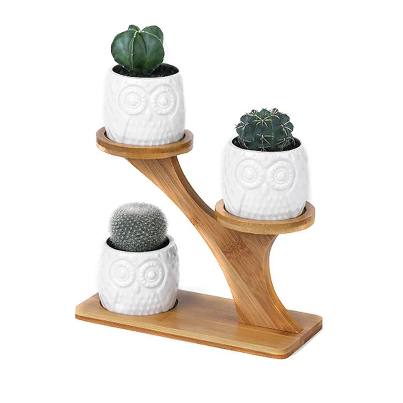 Ceramic Flower Pots Modern Owl Flower Pots Succulent Flower Pots 3 Potted Flower Pots with 3 Layers of Bamboo Shelf
Ceramic Flower Pots Modern Owl Flower Pots Succulent Flower Pots 3 Potted Flower Pots with 3 Layers of Bamboo Shelf