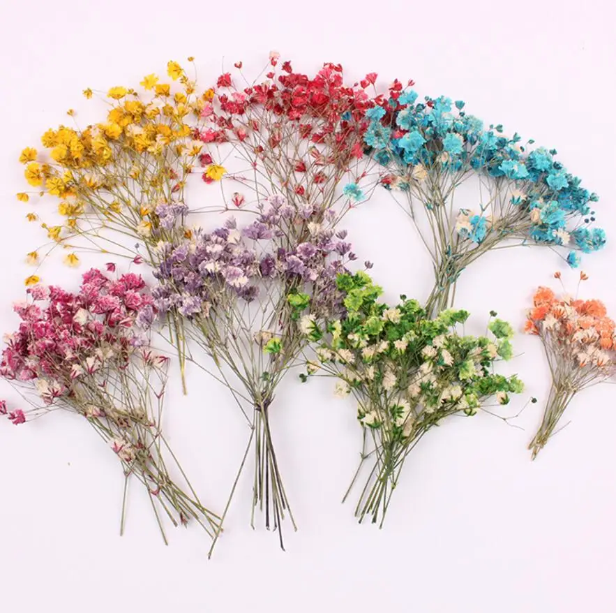 120pcs Pressed Dried Flower Gypsophila Paniculata Filler For Epoxy Resin Jewelry Making Postcard Frame Phone Case Craft DIY
120pcs Pressed Dried Flower Gypsophila Paniculata Filler For Epoxy Resin Jewelry Making Postcard Frame Phone Case Craft DIY