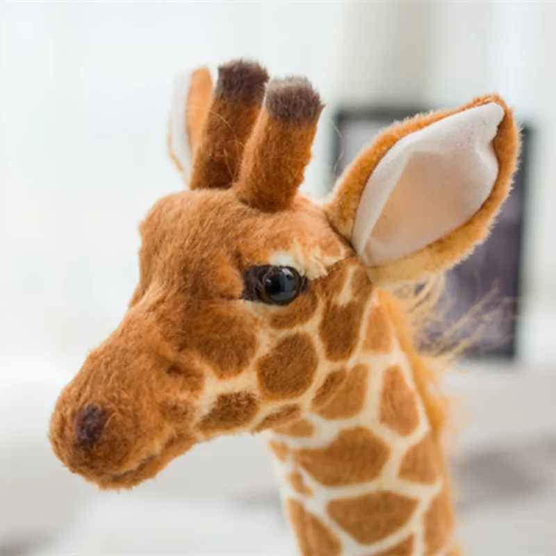 Huge Real Life Giraffe Plush Toys Cute Stuffed Animal Dolls Soft Simulation Giraffe Doll Birthday Gift Kids Toy Bedroom Decor
Huge Real Life Giraffe Plush Toys Cute Stuffed Animal Dolls Soft Simulation Giraffe Doll Birthday Gift Kids Toy Bedroom Decor