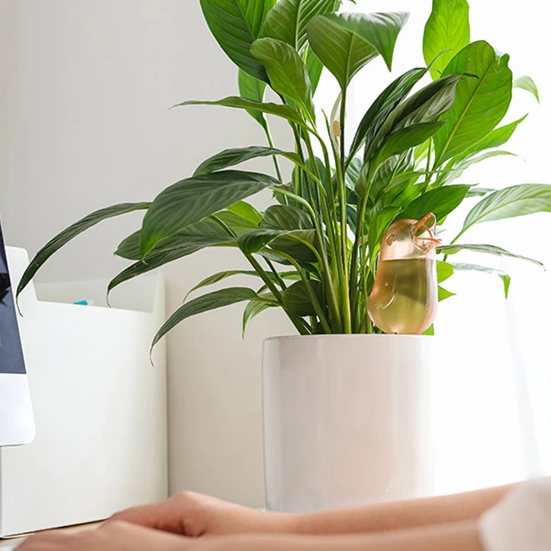 Bird Shape Automatic Plant Self Watering Water Feeder Plastic Ball Plant Flowers Water Feeder Indoor Outdoor Watering Cans
Bird Shape Automatic Plant Self Watering Water Feeder Plastic Ball Plant Flowers Water Feeder Indoor Outdoor Watering Cans