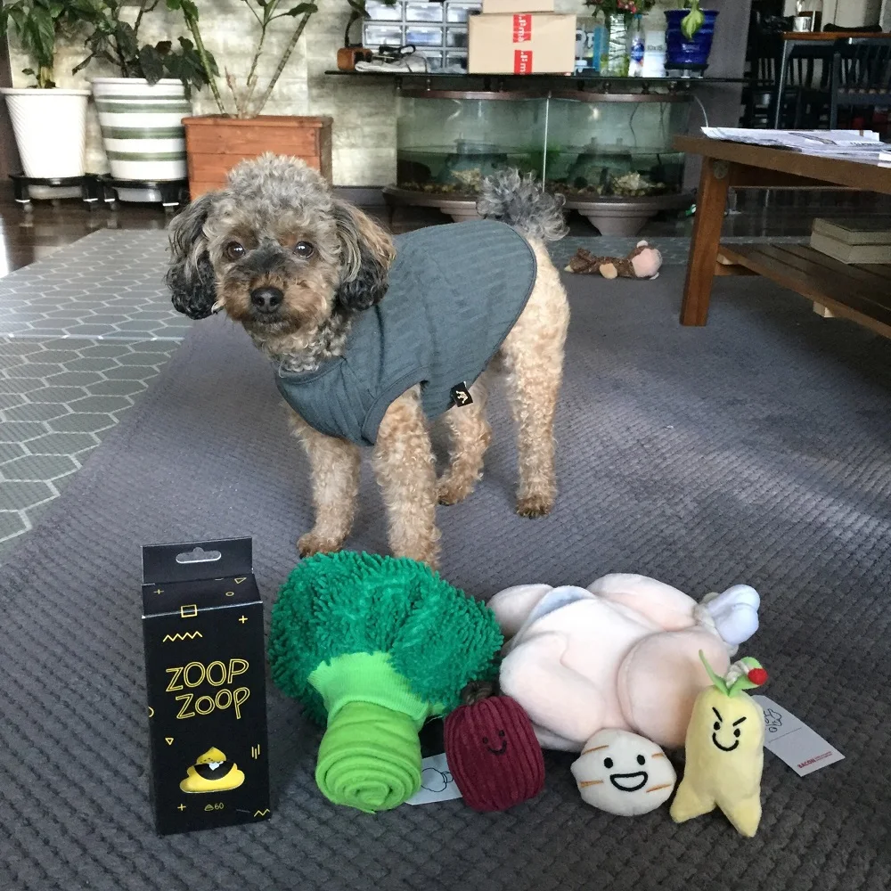 Hot Sale Pet Dog Chew Toys Pet Play For Small Dogs Puppy Chat Pour Plush Chicken Soup Squeak Treats Snuffle Mat Interactive Bite
Hot Sale Pet Dog Chew Toys Pet Play For Small Dogs Puppy Chat Pour Plush Chicken Soup Squeak Treats Snuffle Mat Interactive Bite
