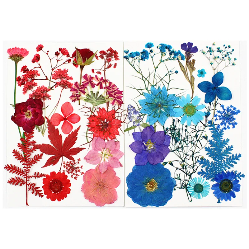 5 Pack Pressed Flower Dry flower material Pack phone case Photo sticker face makeup DIY material
5 Pack Pressed Flower Dry flower material Pack phone case Photo sticker face makeup DIY material