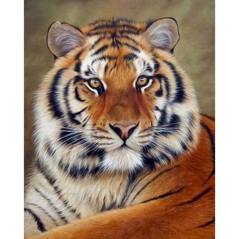 GATYZTORY Frame Diy Painting By Numbers Tigers Animals Paint By Numbers Acrylic Canvas Painting Handpainted Drawing Art
GATYZTORY Frame Diy Painting By Numbers Tigers Animals Paint By Numbers Acrylic Canvas Painting Handpainted Drawing Art