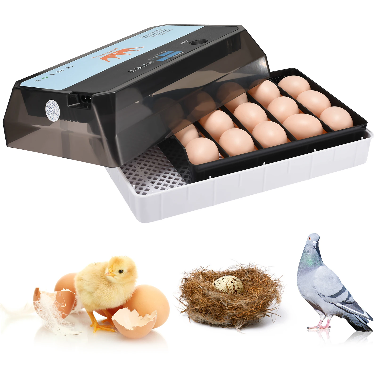 15 Egg Incubators Automatic Digital Poultry Incubator Automatic Turning With Temperature Control, Of Chicken, Duck, Goose, Quail
15 Egg Incubators Automatic Digital Poultry Incubator Automatic Turning With Temperature Control, Of Chicken, Duck, Goose, Quail