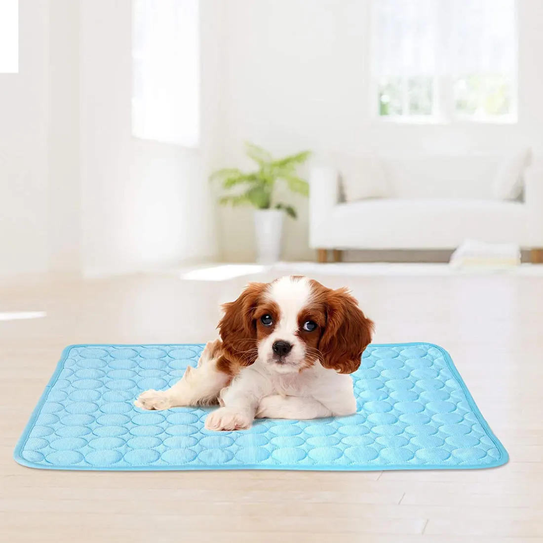 2021 Summer pet ice mat dog bed mat pet mat mat cool cold and moisture-proof mat cat blanket sofa breathable summer washable
2021 Summer pet ice mat dog bed mat pet mat mat cool cold and moisture-proof mat cat blanket sofa breathable summer washable