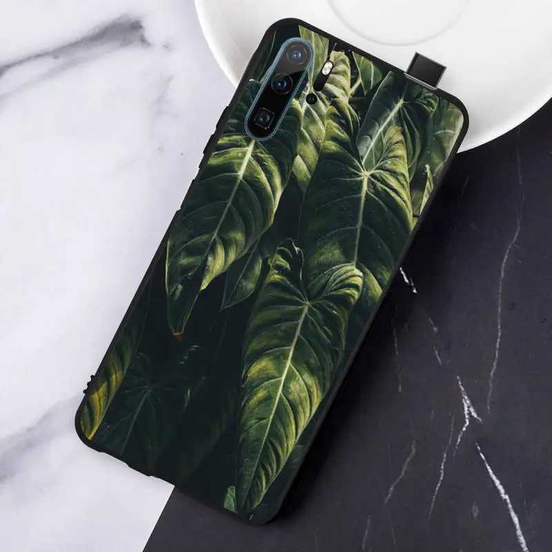 Vintage Feuilles de Bananier Phone Case For Huawei honor Mate P 10 20 30 40 i 9 8 pro x Lite smart 2019 nova 5t
Vintage Feuilles de Bananier Phone Case For Huawei honor Mate P 10 20 30 40 i 9 8 pro x Lite smart 2019 nova 5t