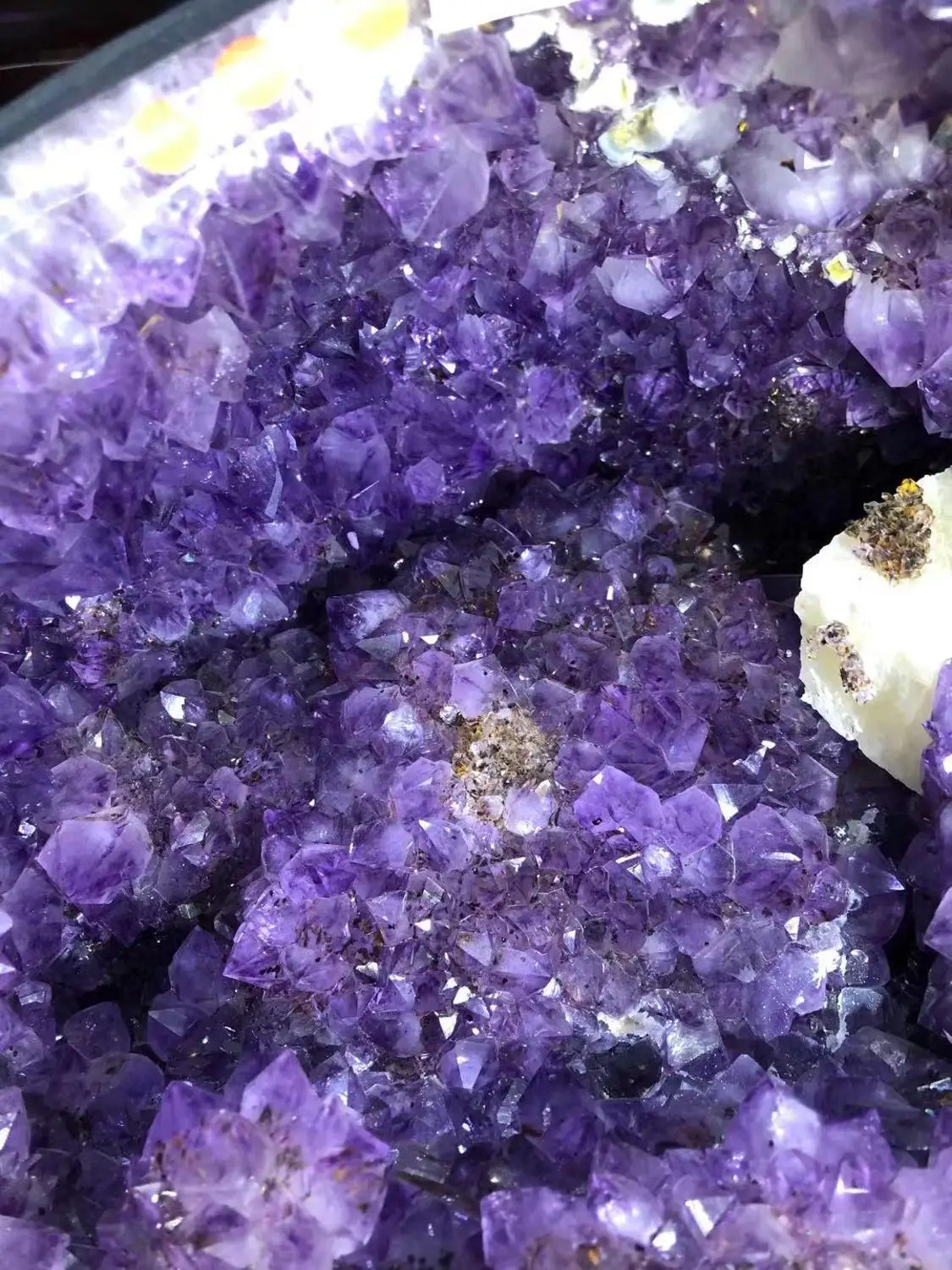 Natural amethyst hole decoration degaussing purification treasure pot Fengshui stone town house money bag
Natural amethyst hole decoration degaussing purification treasure pot Fengshui stone town house money bag