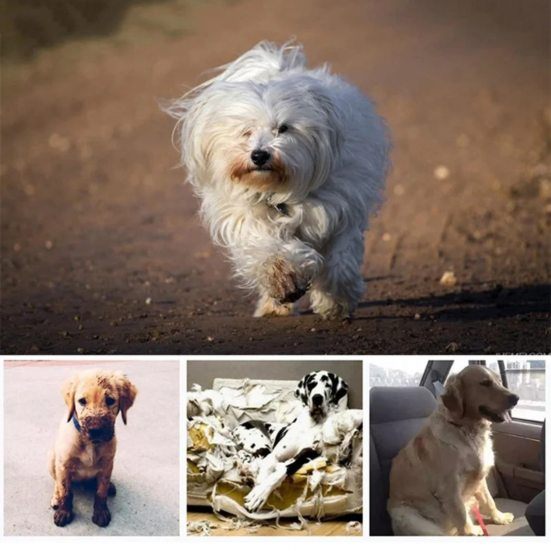 Classic Denim Canvass Style Pet Dog Shoes Sport Styles Small Dog Shoes Ati-Slip Pet Shoes Dog Small Pet Boots for Pets Supplies
Classic Denim Canvass Style Pet Dog Shoes Sport Styles Small Dog Shoes Ati-Slip Pet Shoes Dog Small Pet Boots for Pets Supplies