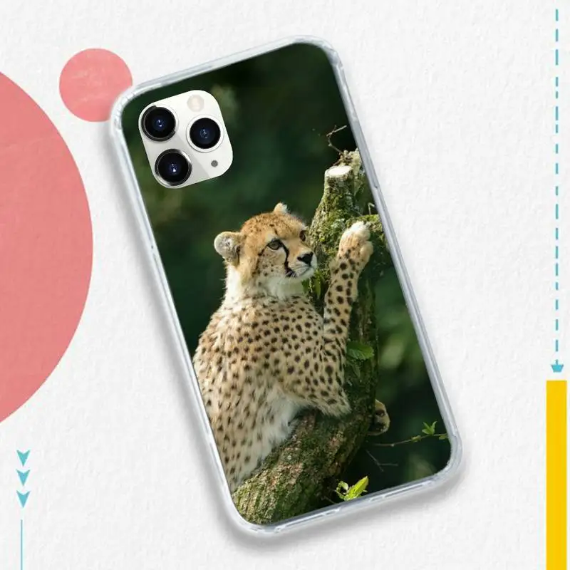 ferocious cheetah grassland animal Phone Case Transparent soft For iphone 5 5s 5c se 6 6s 7 8 11 12 plus mini x xs xr pro max
ferocious cheetah grassland animal Phone Case Transparent soft For iphone 5 5s 5c se 6 6s 7 8 11 12 plus mini x xs xr pro max