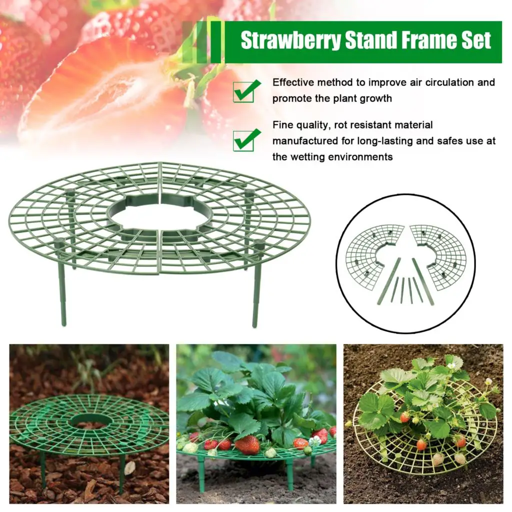 Strawberry Stand Frame Holder Balcony Potted Growing Vegetables Frames Fruit Support Pillar Vine Gardening Stents
Strawberry Stand Frame Holder Balcony Potted Growing Vegetables Frames Fruit Support Pillar Vine Gardening Stents