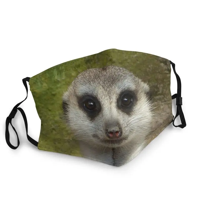 Funny Meerkat Mask Anti Dust Washable Animal Pattern Face Mask Protection Cover Men Women Respirator Mouth Muffle
Funny Meerkat Mask Anti Dust Washable Animal Pattern Face Mask Protection Cover Men Women Respirator Mouth Muffle