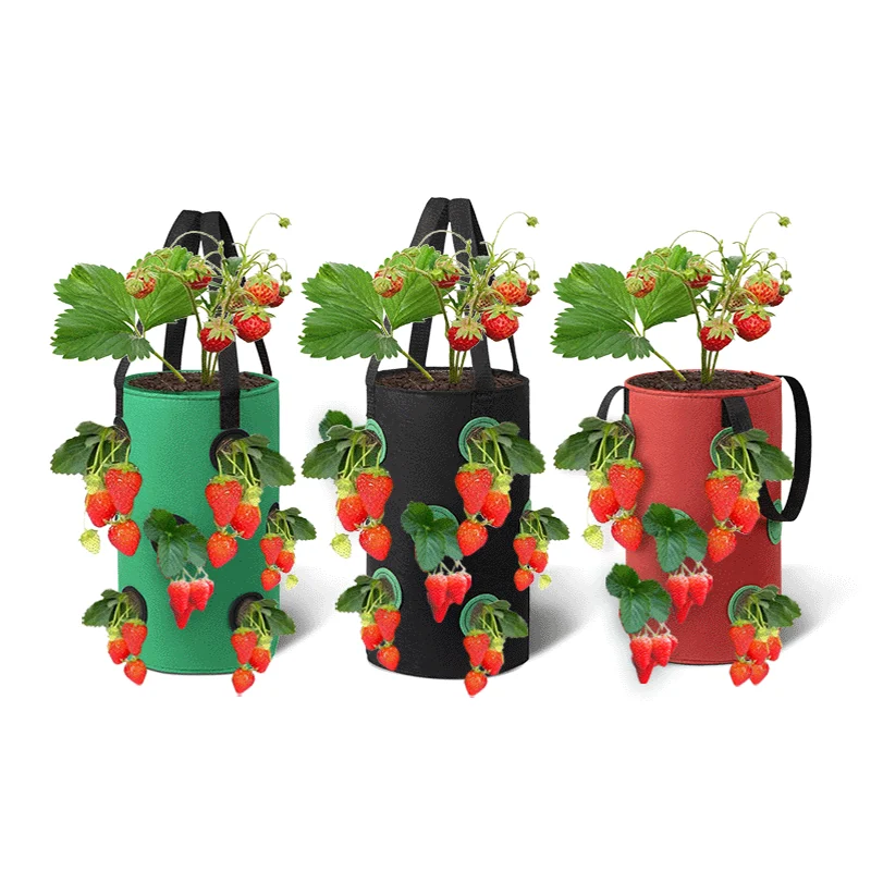 Garden Vegetable Seeding Strawberry Bag with Handle Hanging Planting Bag 12 Hole Non-Woven Plant Hanging Basket Gardening Tools
Garden Vegetable Seeding Strawberry Bag with Handle Hanging Planting Bag 12 Hole Non-Woven Plant Hanging Basket Gardening Tools